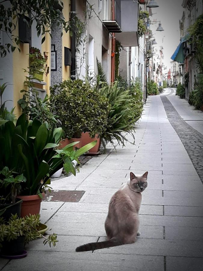 Via San Giacomo 10 كالياري المظهر الخارجي الصورة